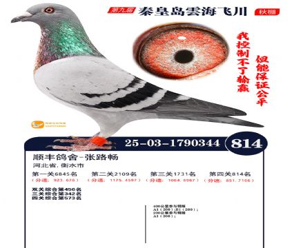 녺��ɴ�����814��