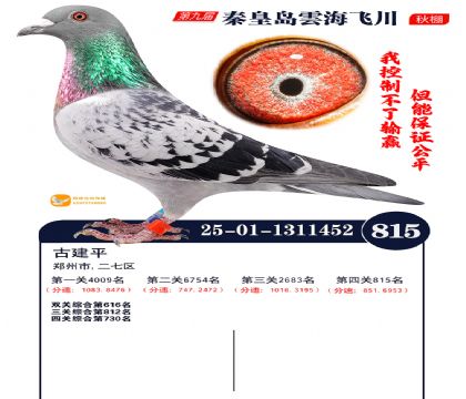 녺��ɴ�����815��