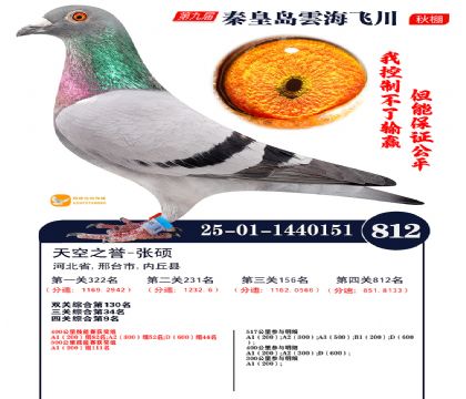 녺��ɴ�����812��