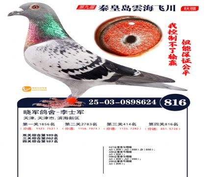 녺��ɴ�����816��