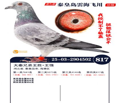 녺��ɴ�����817��