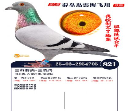 녺��ɴ�����821��