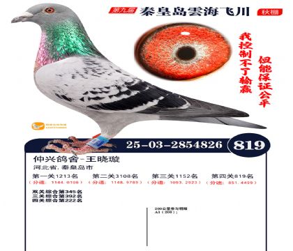 녺��ɴ�����819��