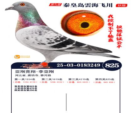 녺��ɴ�����825��