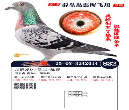 녺��ɴ�����832��