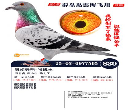 녺��ɴ�����830��