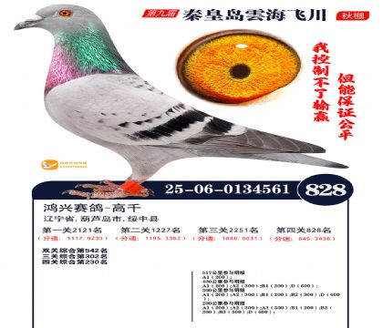 녺��ɴ�����828��