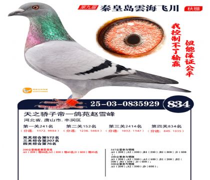 녺��ɴ�����834��