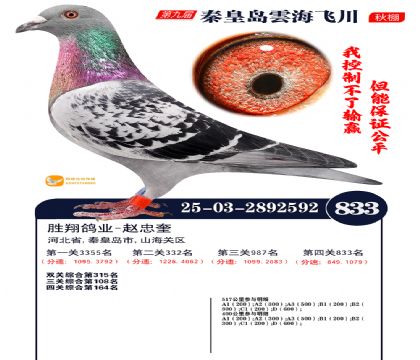 녺��ɴ�����833��