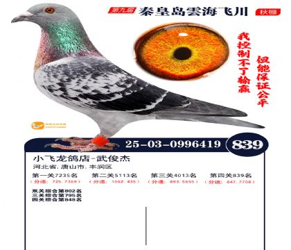 녺��ɴ�����839��