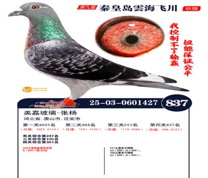 녺��ɴ�����837��