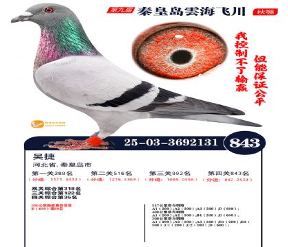 녺��ɴ�����843��