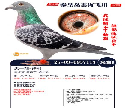 녺��ɴ�����840��