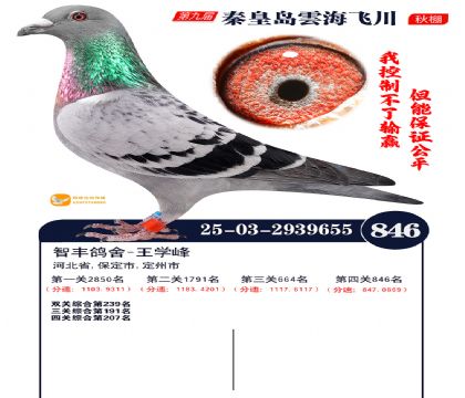 녺��ɴ�����846��