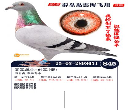 녺��ɴ�����845��