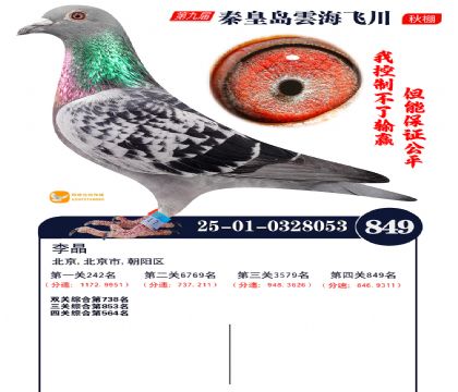 녺��ɴ�����849��