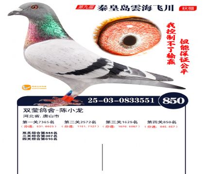 녺��ɴ�����850��