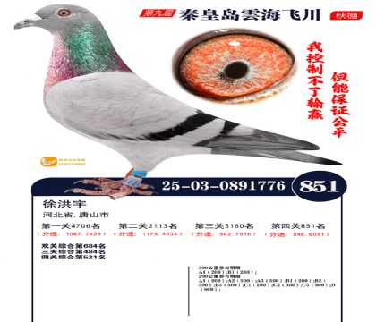 녺��ɴ�����851��