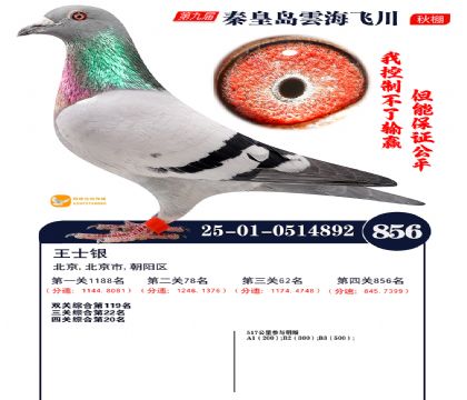 녺��ɴ�����856��