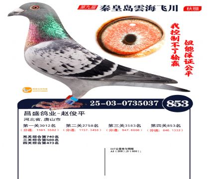 녺��ɴ�����853��