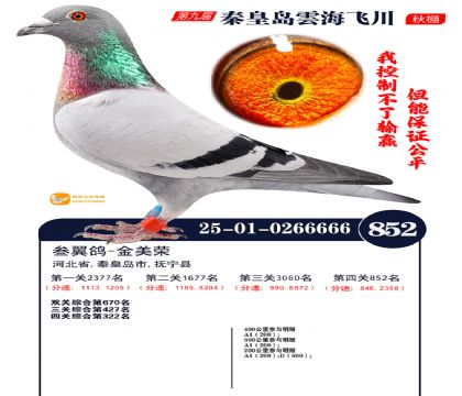 녺��ɴ�����852��