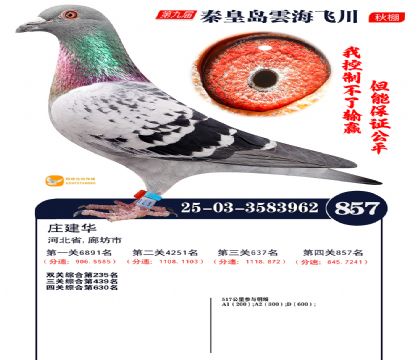 녺��ɴ�����857��