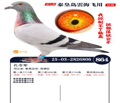 녺��ɴ�����864��