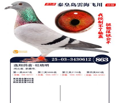 녺��ɴ�����863��