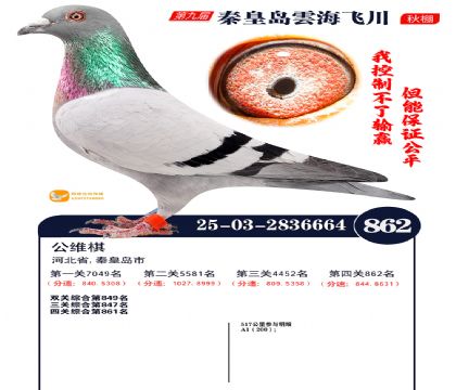 녺��ɴ�����862��