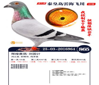 녺��ɴ�����865��