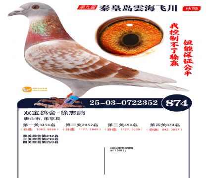 녺��ɴ�����874��