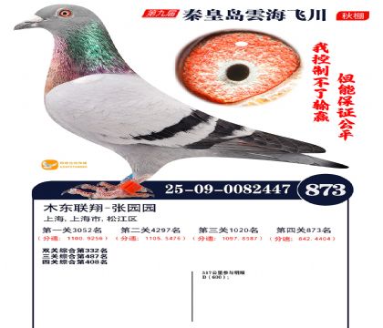 녺��ɴ�����873��