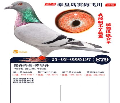 녺��ɴ�����879��