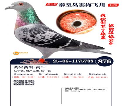 녺��ɴ�����876��