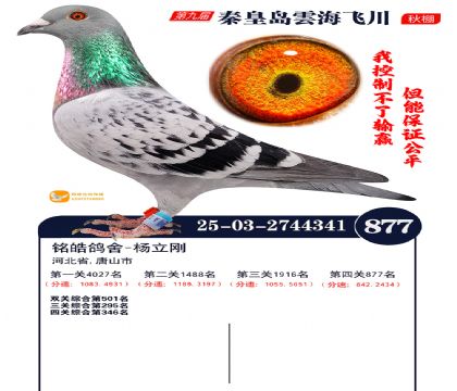 녺��ɴ�����877��