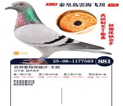 녺��ɴ�����881��