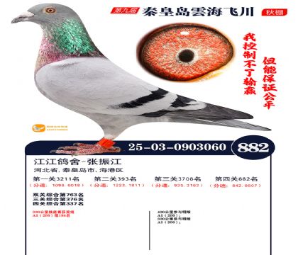 녺��ɴ�����882��