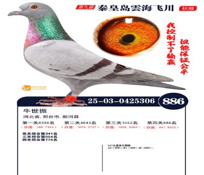 녺��ɴ�����886��