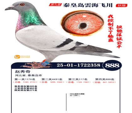 녺��ɴ�����888��