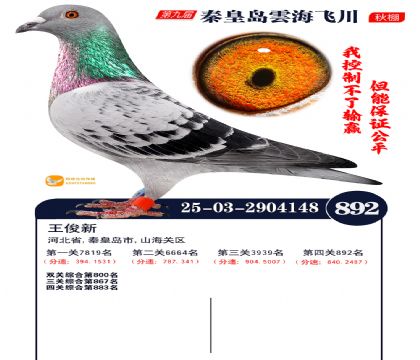 녺��ɴ�����892��