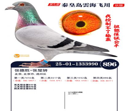 녺��ɴ�����896��