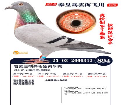 녺��ɴ�����894��