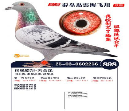 녺��ɴ�����898��