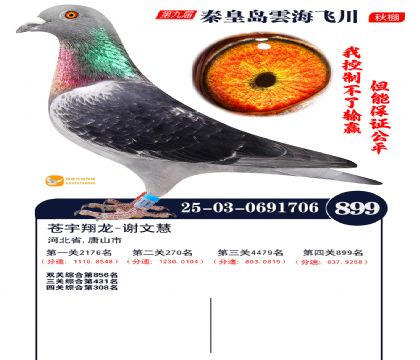 녺��ɴ�����899��