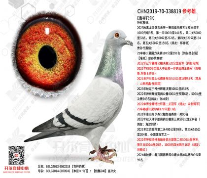 �����ж�