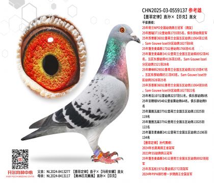 ī�ƶ���ֱ����ҿ�ֱŮ