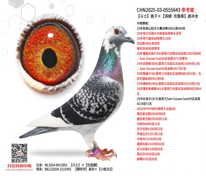 ��ʿֱ�ӡ���ķ����³˹ֱ��Ů