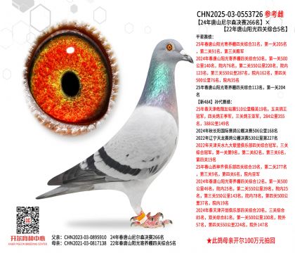 24����ɽ���ɭ����266����22����ɽ�����Ĺ��ۺ�5��