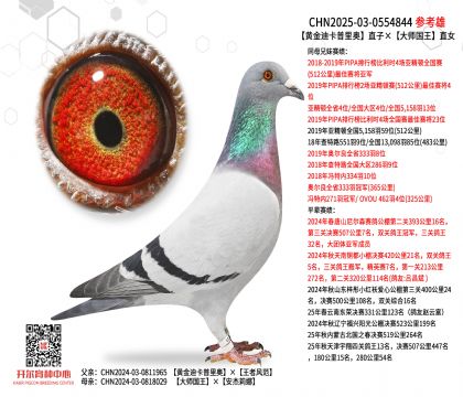 �ƽ�Ͽ������ֱ�ӡ���ʦ����ֱŮ