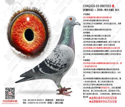 ���ҹ�ڡ��������������Ҵơ�ֱŮ